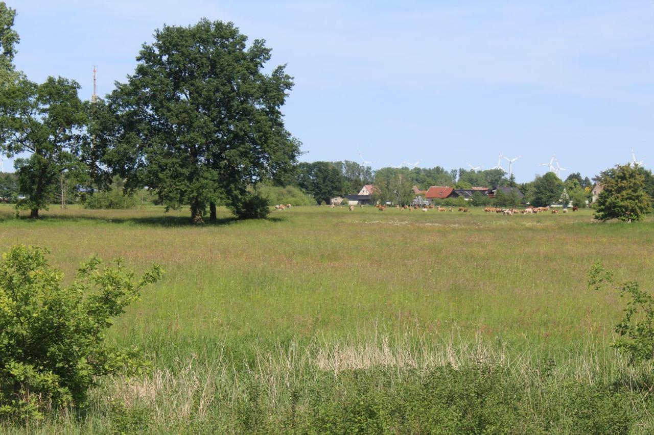 Spreewald Ferienwohnung Luebben Kültér fotó